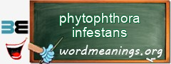 WordMeaning blackboard for phytophthora infestans